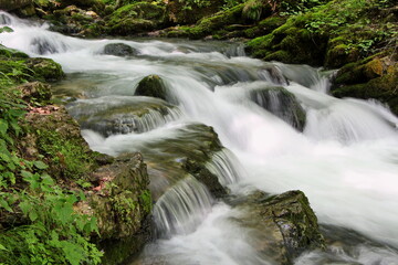 Fototapeta premium Waterfall in the forest