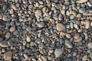 Stones of different colors and sizes  texture of the pebbles close-up