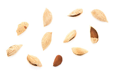 Shell almonds top view Nuts isolated on white background