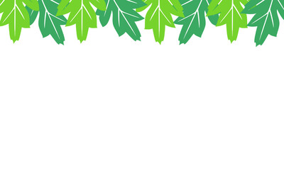 Obraz premium white background with leaves on top