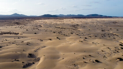 Fototapeta na wymiar Desert in the Nature park Corralejo