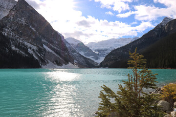 A small Christmas tree on the background of the winter lake Moiraine