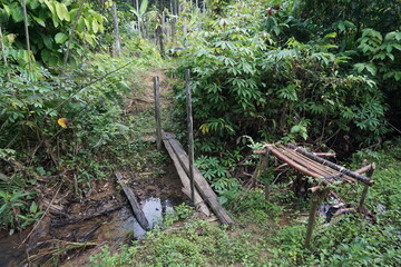 Obraz premium A simple pedestrian bridge made of pieces of wood joined together, to cross a small river in a Kalimantan village