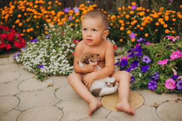 Little boy playing with puppies. The boy sits with a dog near the flowers. Carefree childhood in the village. The child's love for animals
