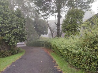 footpath in the park