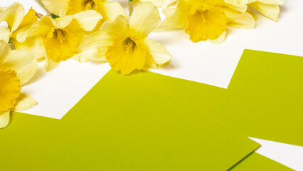 Spring daffodil, Narcissus flowers and paper card on white table background top view in flat lay style. Greeting for Womens or Mothers Day.