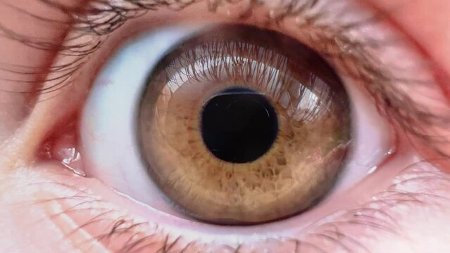 Dilating pupil seamless loop