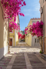 Obraz na płótnie Canvas Scenic view of cobbled street, facades of shops and a full blooming bougainvillea in the old town of Nafplio Argolis Greece.