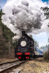 Fototapeta na wymiar Retro steam-powered train goes on rails through the woods and emits steam