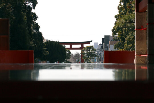 「若宮大路」の写真素材 154件の無料イラスト画像 Adobe Stock