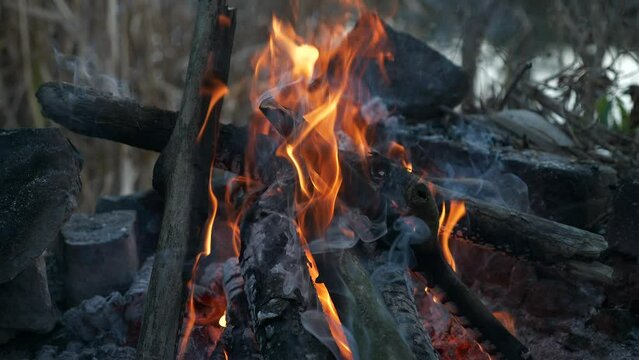 Close-up Campfire Near Lake Pond River. Burning Firewood Fire Flame. Autumn Evening. Slow motion 4K