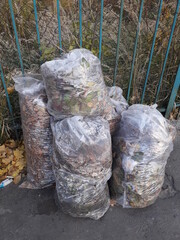 Bag of fall leaves for recycling .Brown leaves, cut grass, branches and rubbish collected in the garden