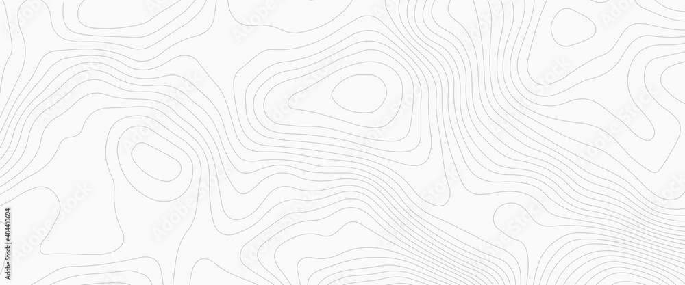 Poster background of the topographic map. topographic map lines, contour background. wood grain texture. de