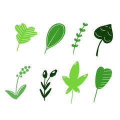 Set of hand drawn leaves. Flat nature illustration.