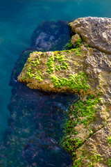 Partially submerged rock