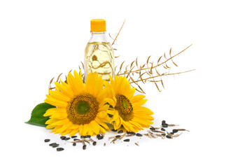 Bottle of mixture of useful oils of sunflower and canola with flowers and seed of sunflower on white background  with space for text