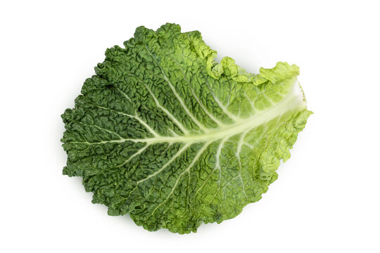 Savoy cabbage leaf isolated on white background with clipping path and full depth of field. Top view. Flat lay