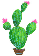 Cactus illustration. Cactus silhouette. Cactus flowers.