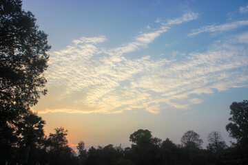 Dawn in Angkor Wat Jungle Sky
