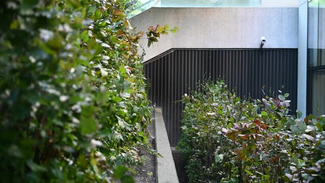 A Bush Is Being Sprayed By An In-Ground Sprinkler System Beside A City Building With A Camera Surveilling The Area With Birds Chirping In The Audio.