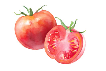 新鮮な完熟トマトの水彩イラスト。半分にカットしたトマト。
