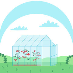 A farm greenhouse for growing plants, flowers, tomato. Front side view. Glass orangery, botanical garden greenhouse. Vector illustration.