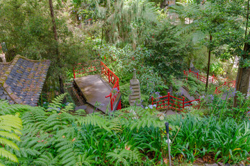 Botanical garden at Funchal, Madeira