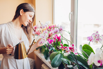 Woman taking care of orchids blooming on window sill. Girl gardener watering home plants and flowers with watering can.