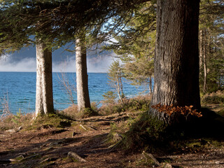 ufer des walchensee bei sachenbach im Herbst