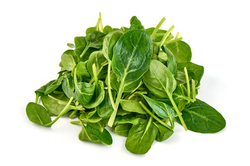 Bunch of spinach leaves isolated on white background.