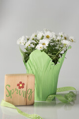 Spring sign with potted white daisies wrapped in bright green paper with green and white polka dotted ribbon.
