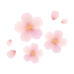Fototapeta na wymiar 桜の花びらのイラスト