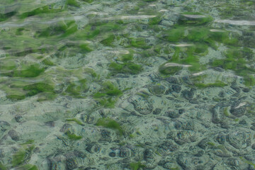 Bodensee, Blick auf den Grund