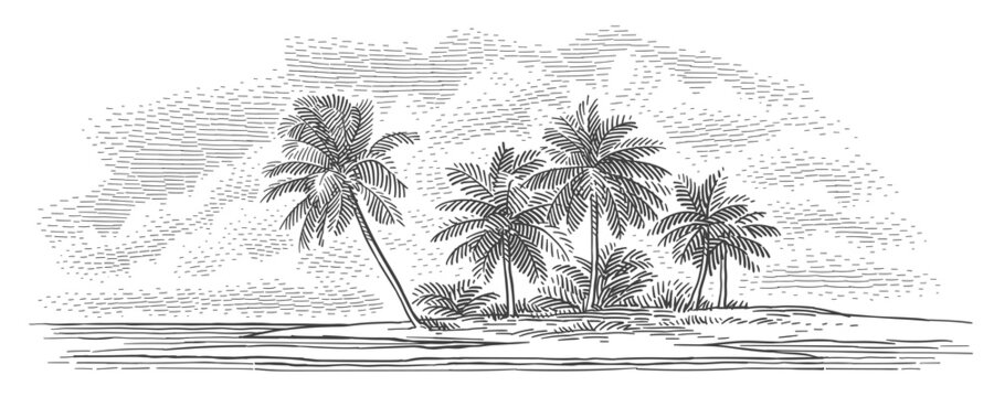 Tropical beach with palm trees engraving vintage style illustration. Vector. 