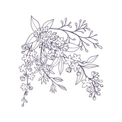 Bouquet of decorative flowering branches of spirea, jasmine with foliage and small flowers, freehand drawing with liner in black outline and white fill.