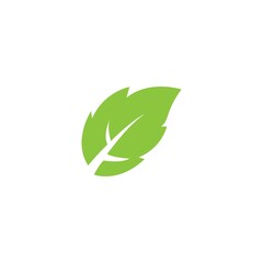 leaf logo icon vector design template