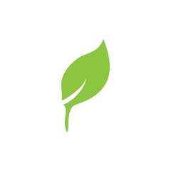 leaf logo icon vector design template