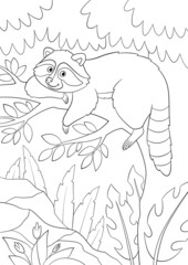 Coloring Page. Cute smiling raccoon rests on the tree in the forest.