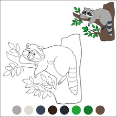 Coloring page with example. Cute smiling raccoon rests on the tree.