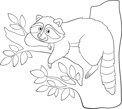 Coloring page. Cute smiling raccoon rests on the tree.
