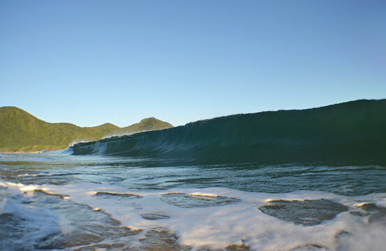 Imágenes de Patanemo descubre bancos de fotos, ilustraciones, vectores