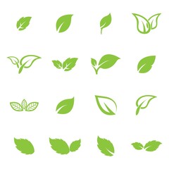 leaf logo icon vector design template