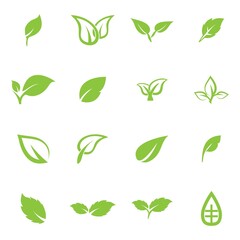 leaf logo icon vector design template