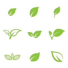 leaf logo icon vector design template