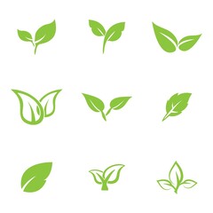 leaf logo icon vector design template
