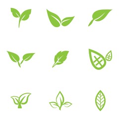 Fototapeta na wymiar leaf logo icon vector design template