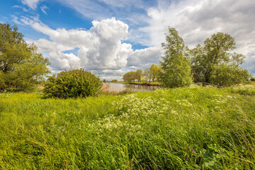 Picturesque landscape with a lushly vegetated shore of a small lake and impressive clouds in the blue sky. The photo was taken at the beginning of the spring season.