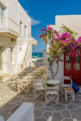 Naklejka premium Traditional Cycladitic alley with narrow street, whitewashed facade of stores, a tavern exterior and a blooming bougainvillea in Naousa Paros island, Greece.