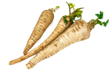 raw parsley roots on white