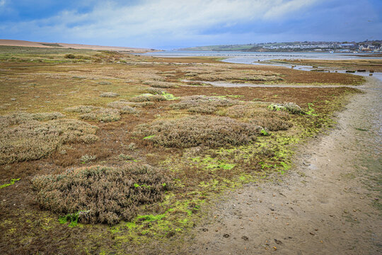Chesil Beach, near Portland, Jurassic Coast, Dorset, England